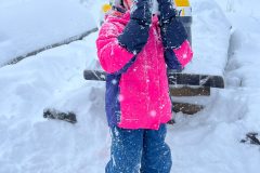 d3911815-0cbc-41f0-a755-a50e1637cebf