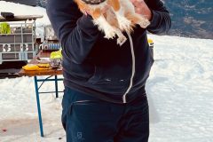 83306a7f-f80e-4393-a3ec-da1585e79de8