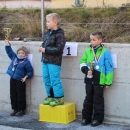 cours-de-ski-2015266