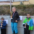 cours-de-ski-2015268