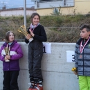 cours-de-ski-2015271