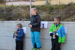 cours-de-ski-2015265