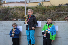 cours-de-ski-2015268