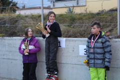 cours-de-ski-2015271