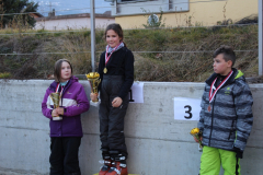 cours-de-ski-2015272