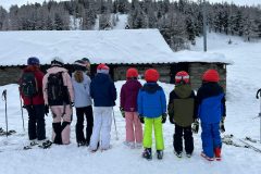 7aab5bed-6827-4f3c-a550-8c77cba46497