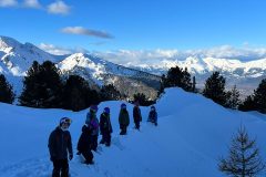 a4f955f3-ae28-4f5b-8f59-b5b2a2e41348