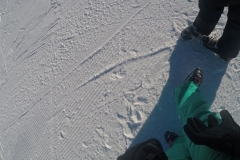 journee-moniteurs-20164