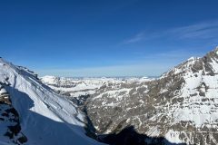 3cc4c685-7c54-4833-9909-93050cac0e72