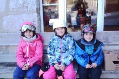 ViviLnk