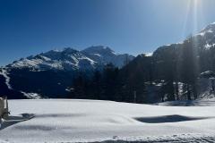 43d438a9-5f97-4fe0-9379-b673fc4018b8