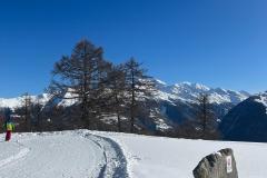 a6fea9a2-626c-463c-a606-c96920a0cdda