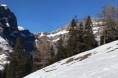 image11