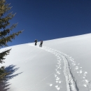 niven2